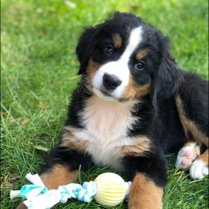 Meet your Posher, Deborah